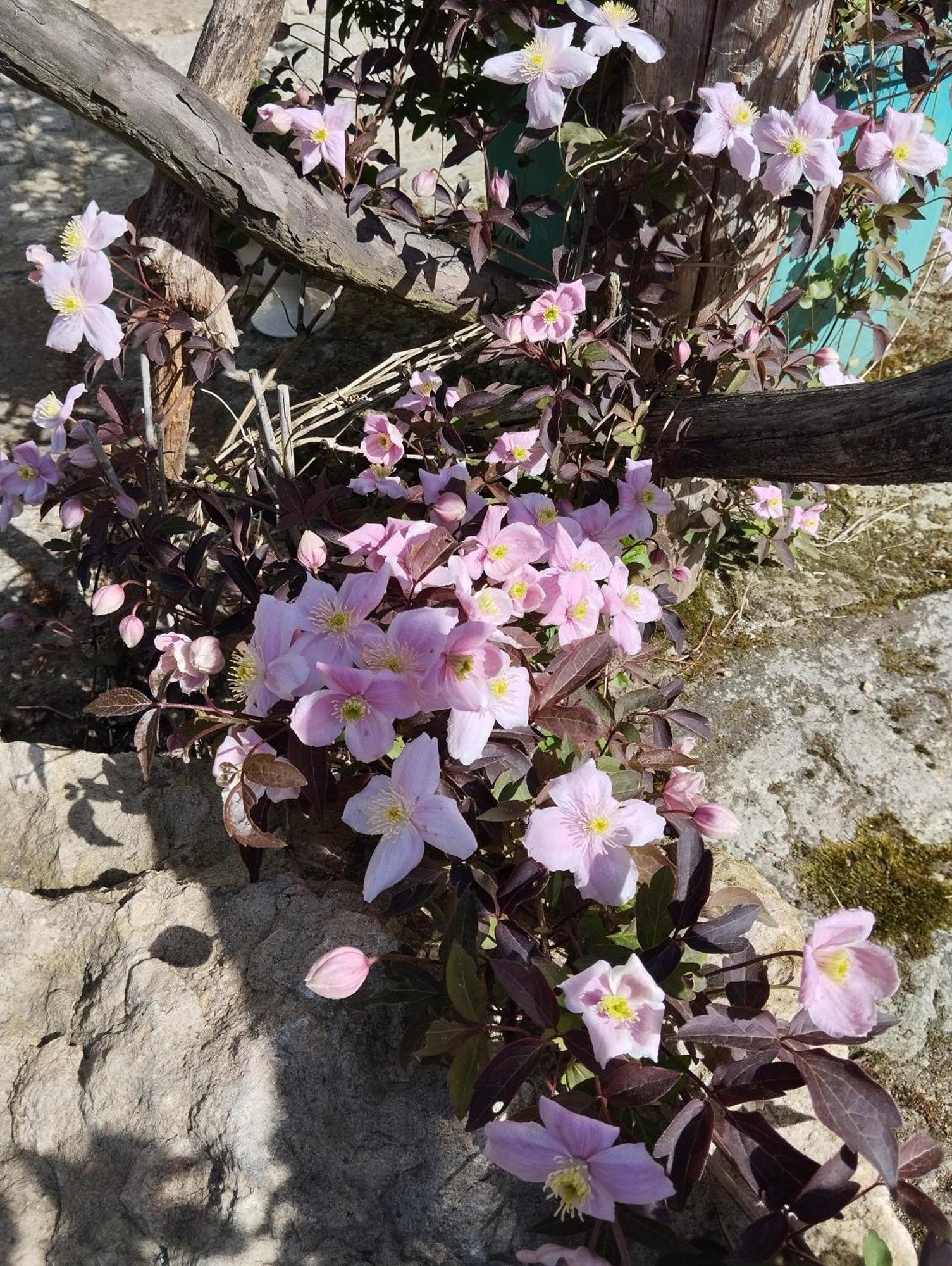 Rosenthal-Bielatal Forellenwasser מראה חיצוני תמונה